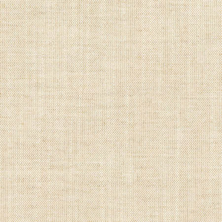 Aerial Flax by Carole Designer Fabric Opal,Toasted Almond 100% Polyester India Passes 50,000 Double Rubs Wyzenbeek None 54" - Swanky Fabrics -