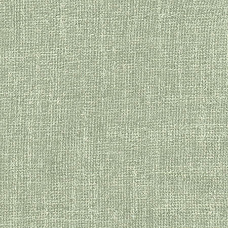 Enthusiasm Mint by Carole Designer Fabric Laguna 100% Polyester INDIA N/A None 54" - Swanky Fabrics -