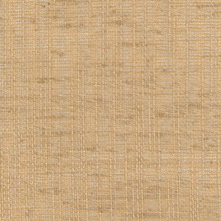 Slow Down Granola by Carole Designer Fabric COME HOME,See It Through 100% Polyester India N/A None 54" - Swanky Fabrics -