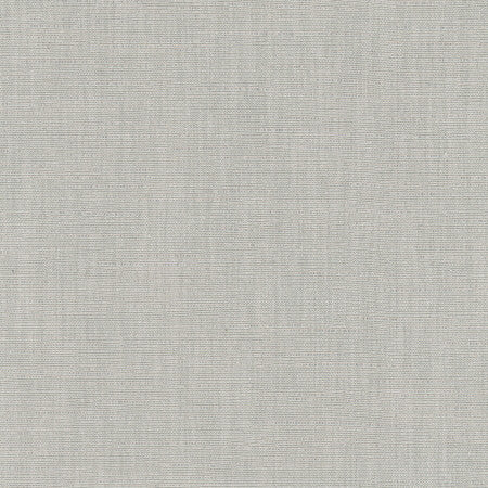 Athlete Sterling by Carole Designer Fabric Pewter 60% Cotton, 40% Polyester India Passes 50,000 Double Rubs Wyzenbeek Horizontal: None and Vertical: None 55" - Swanky Fabrics -