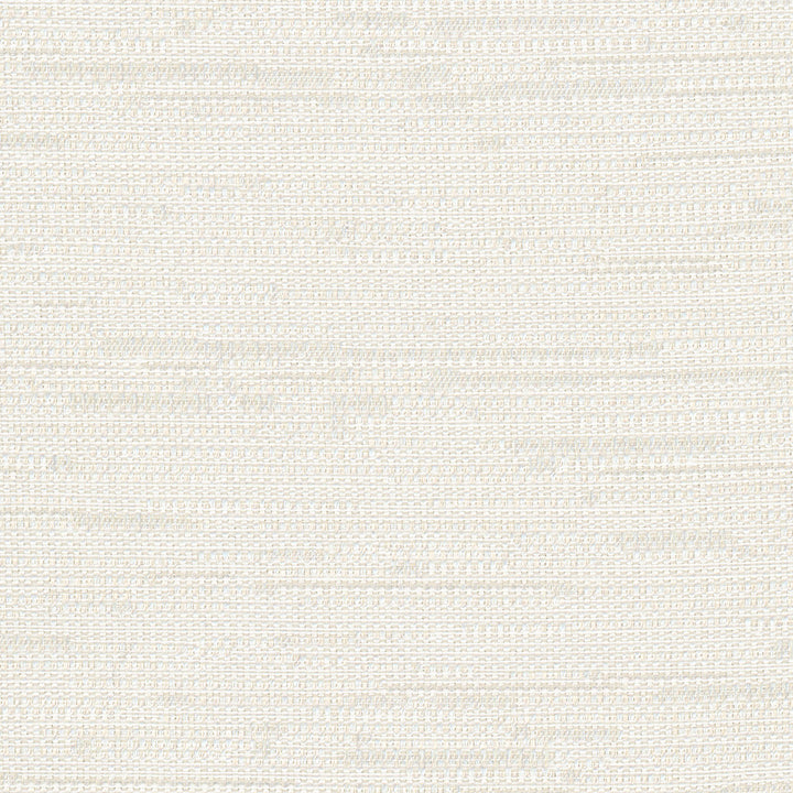 Cliff Top Alabaster by Carole Designer Fabric Excursion 66% Polyester, 34% Cotton India 36,000 Wyzenbeek Double Rubs Horizontal: 0 and Vertical: 0 56 - Swanky Fabrics -