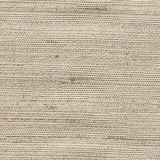 Aiden Natural by Carole Designer Fabric Subtle Hints,Aiden Gallery 100% Polyester INDIA PASSES 30,000 DOUBLE RUBS WYZENBEEK Horizontal: 0" and Vertical: 0" 56" - Swanky Fabrics -