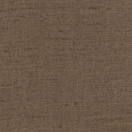 Training Day Brown by Carole Designer Fabric Sunbaked 92% Polyester, 8% Cotton INDIA N/A None 54" - Swanky Fabrics -