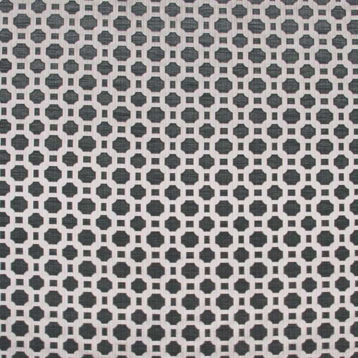 Prized Possession Charcoal by Carole Designer Fabric Winner'S Circle 60% Polyester, 40% Cotton India N/A Horizontal: 3 and Vertical: 2875 54 - Swanky Fabrics -