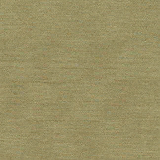 Northwind Sage by Carole Designer Fabric New Northwind Iii 100% Polyester India Passes 9,000 Double Rubs Wyznebeek </p><p>Repeat: NONE 54" - Swanky Fabrics -