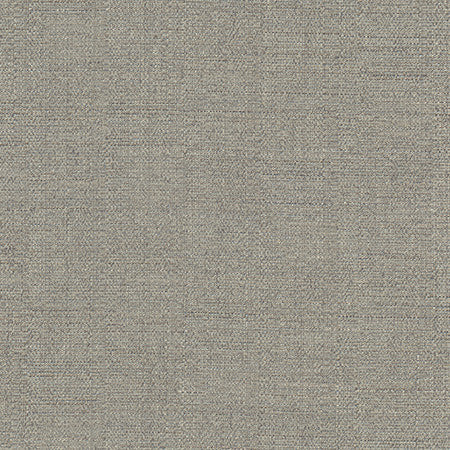 Cortland Stone by Carole Designer Fabric Gala 100% Polyester India 30,000 WYZENBEEK DOUBLE RUBS None 54.75" - Swanky Fabrics -