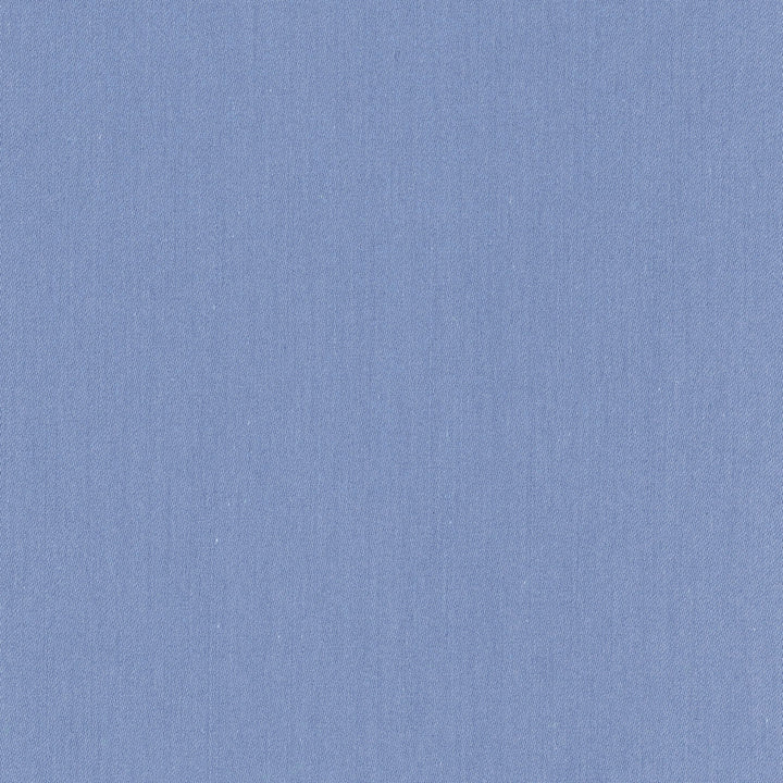 Comfort Royal by Carole Designer Fabric Daydreaming 100% Cotton India Passes 21,000 Double Rubs Wyzenbeek Horizontal: 0 and Vertical: 0 54 - Swanky Fabrics -
