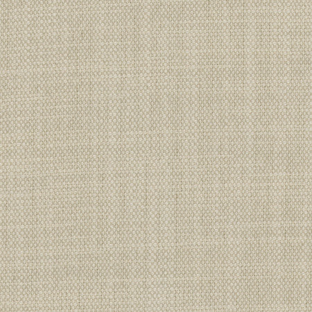 Brookings Silver by Carole Designer Fabric Enterprise 100% Polyester India 15,000 Wyzenbeek Double Rubs None 55" - Swanky Fabrics -