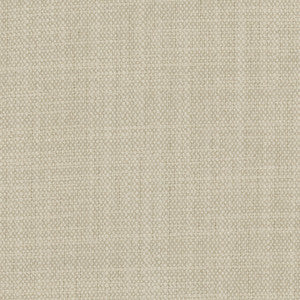 Brookings Silver by Carole Designer Fabric