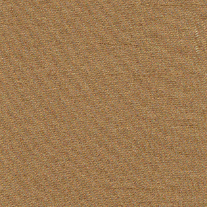 Northwind Brush by Carole Designer Fabric New Northwind Iv 100% Polyester India Passes 9,000 Double Rubs Wyzenbeek Horizontal: 0 and Vertical: 0 54 - Swanky Fabrics -