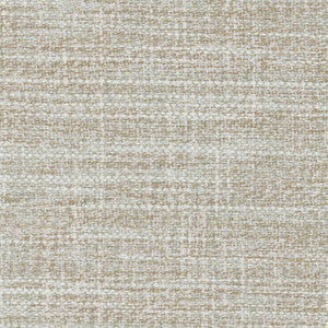 At Times Birch by Carole Designer Fabric