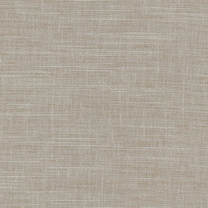 Truth Be Told Pewter by Carole Designer Fabric