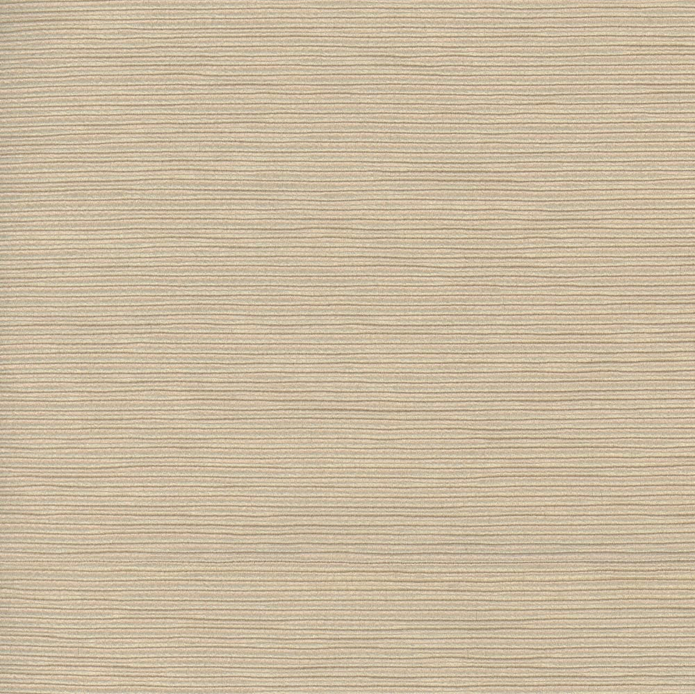 First Novel Wafer by Carole Designer Fabric Stationery 72% Rayon, 28% Polyester China Passes 30,000 Double Rubs Wyzenbeek Horizontal: 0 and Vertical: 0 55 - Swanky Fabrics -