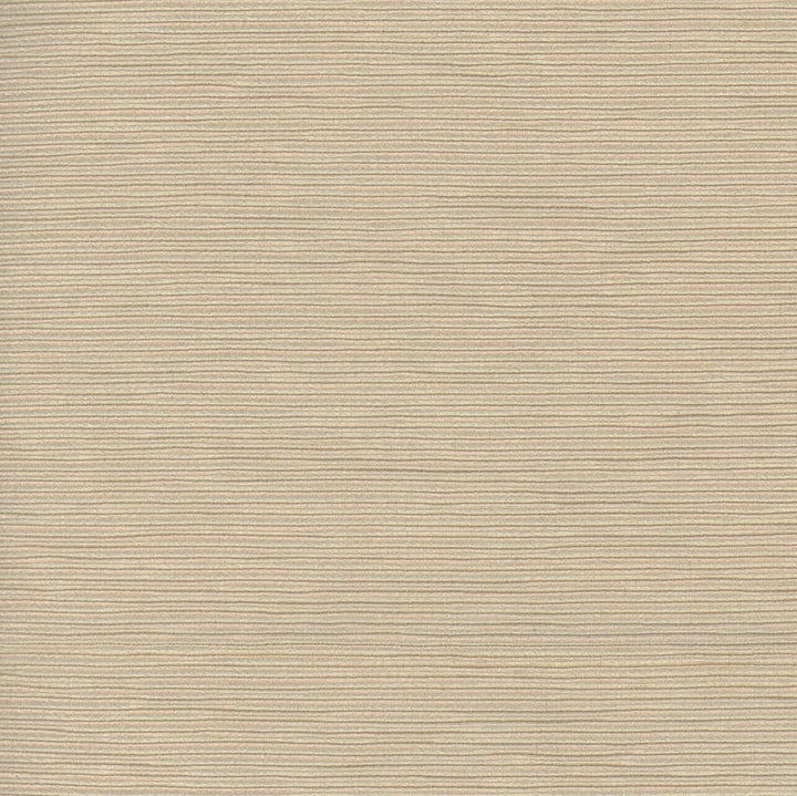 First Novel Wafer by Carole Designer Fabric Stationery 72% Rayon, 28% Polyester China Passes 30,000 Double Rubs Wyzenbeek Horizontal: 0 and Vertical: 0 55 - Swanky Fabrics -
