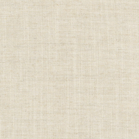 Aerial Flax by Carole Designer Fabric Opal 100% Polyester India Passes 50,000 Double Rubs Wyzenbeek </p><p>Repeat: None 56" - Swanky Fabrics -