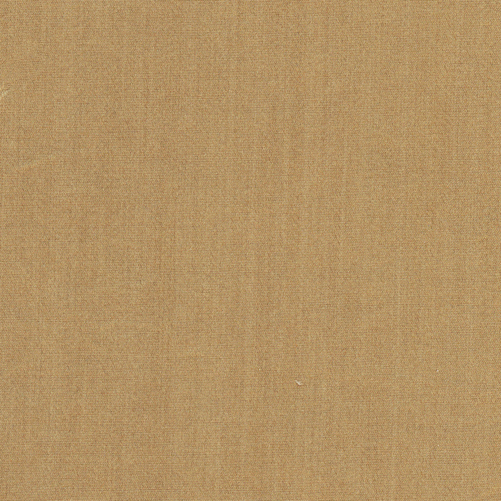 Tempt Sepia by Carole Designer Fabric Royale 100% IFR Polyester India Passes 45,000 Double Rubs Wyzenbeek Horizontal: 0 and Vertical: 0 54 - Swanky Fabrics -