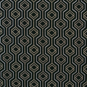 All Its Own Onyx by Carole Designer Fabric