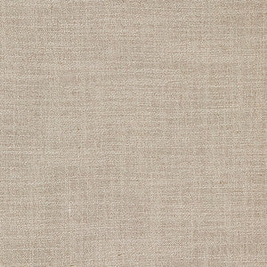 Resourceful Taupe by Carole Designer Fabric