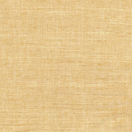 Training Day Canary by Carole Designer Fabric Sunbaked 92% Polyester, 8% Cotton INDIA None 54" - Swanky Fabrics -