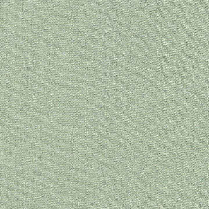Tempt Horizon by Carole Designer Fabric Royale 100% IFR Polyester India Passes 45,000 Double Rubs Wyzenbeek Horizontal: 0 and Vertical: 0 54 - Swanky Fabrics -