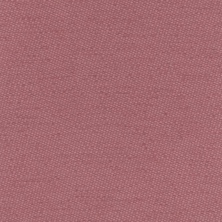 Fact Finder Plum by Carole Designer Fabric Scarlet 100% Polyester Turkey Passes 40,000 Double Rubs Wyzenbeek Horizontal: 0 and Vertical: 0 59 - Swanky Fabrics -