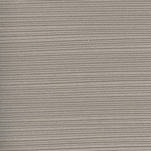 Admission Gray by Carole Designer Fabric