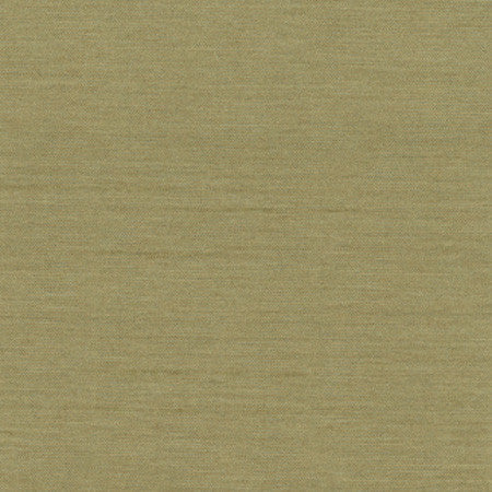 Northwind Sage by Carole Designer Fabric New Northwind Iii,New Northwind IV 100% Polyester India Passes 9,000 Double Rubs Wyzenbeek Horizontal: None and Vertical: NONE 54" - Swanky Fabrics -
