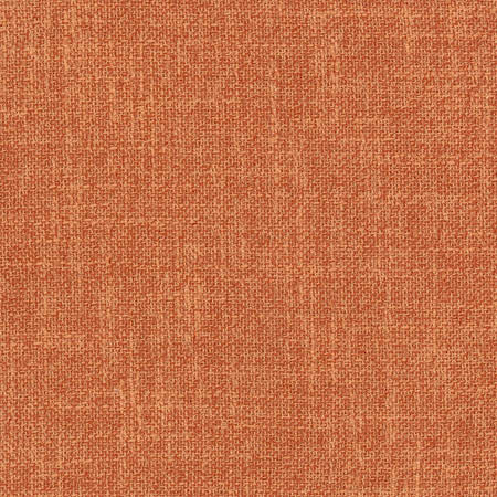 Enthusiasm Spice by Carole Designer Fabric Sunbaked 100% Polyester INDIA None 54" - Swanky Fabrics -