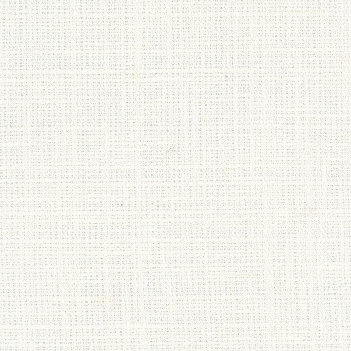 Inner Child Cream by Carole Designer Fabric Opal 66% Polyester, 21% Cotton, 13% Linen India Passes 15,000 Double Rubs Wyzenbeek Horizontal: 0 and Vertical: 0 54 - Swanky Fabrics -