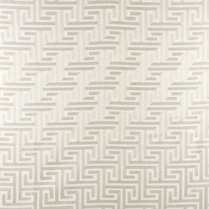 Find Your Way Birch by Carole Designer Fabric