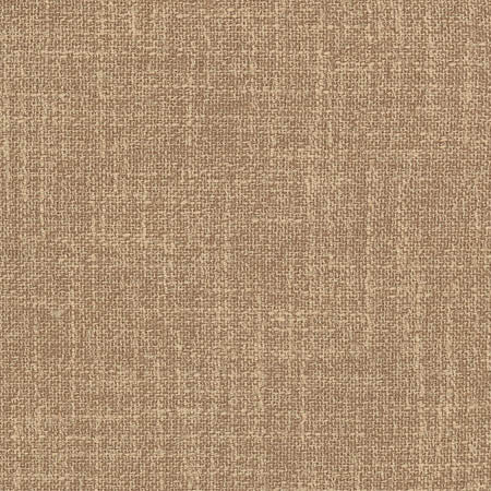Enthusiasm Toffee by Carole Designer Fabric Sunbaked 100% Polyester INDIA N/A None 54" - Swanky Fabrics -