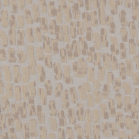 Stamina Silver by Carole Designer Fabric Magic Hour,Modern Edge 100% Polyester India Passes 25,000 Double Rubs Wyzenbeek None 55" - Swanky Fabrics -