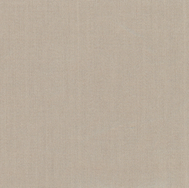 Tempt Silt by Carole Designer Fabric Royale 100% IFR Polyester India Passes 45,000 Double Rubs Wyzenbeek Horizontal: 0 and Vertical: 0 54 - Swanky Fabrics -
