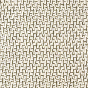 Straight Ahead Aloe by Carole Designer Fabric