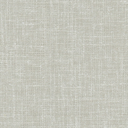Inner Child Nickel by Carole Designer Fabric Pewter 66% Polyester, 21% Cotton, 13% Linen India Passes 15,000 Double Rubs Wyzenbeek </p><p>Repeat: None 54" - Swanky Fabrics -