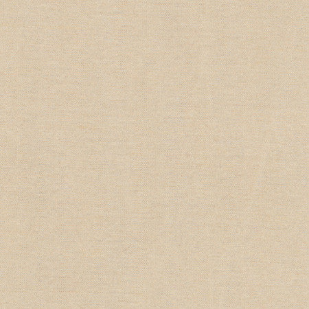 Northwind Pebble by Carole Designer Fabric New Northwind III,New Northwind IV 100% Polyester India NONE 54" - Swanky Fabrics -