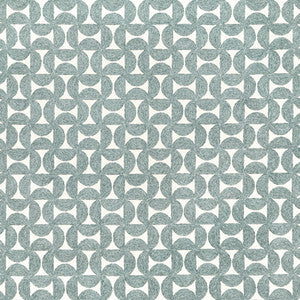 Spin Master Chambray by Carole Designer Fabric