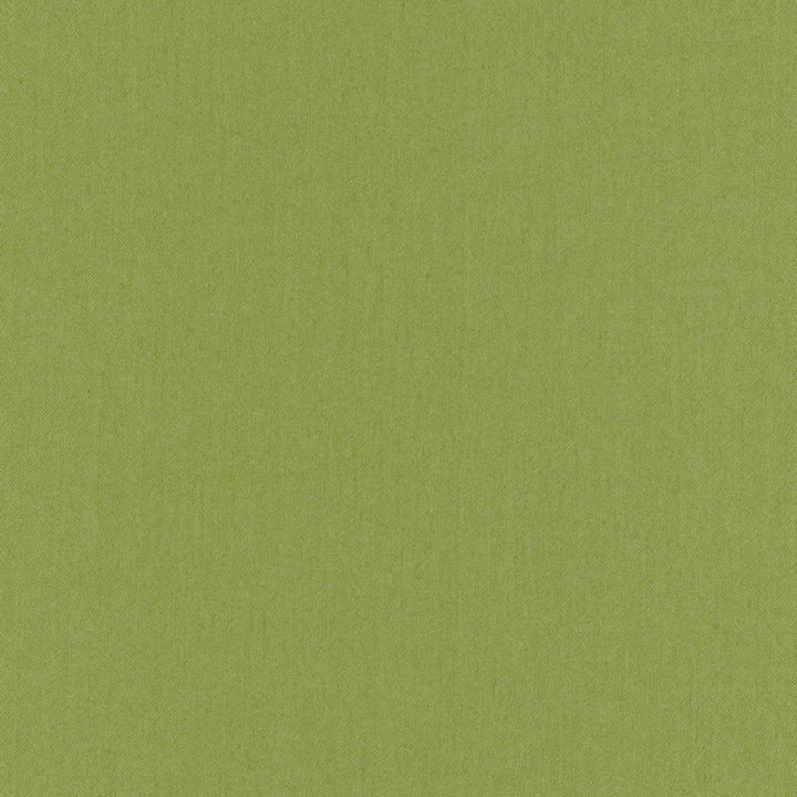 Comfort Grass by Carole Designer Fabric Daydreaming 100% Cotton India Passes 21,000 Double Rubs Wyzenbeek Horizontal: 0 and Vertical: 0 54 - Swanky Fabrics -