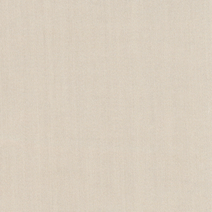 Tempt Linen by Carole Designer Fabric Royale 100% IFR Polyester India Passes 45,000 Double Rubs Wyzenbeek Horizontal: 0 and Vertical: 0 54 - Swanky Fabrics -