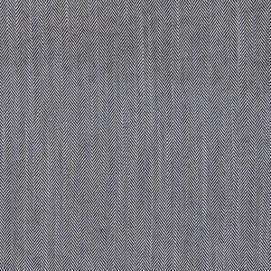 With Purpose Denim by Carole Designer Fabric