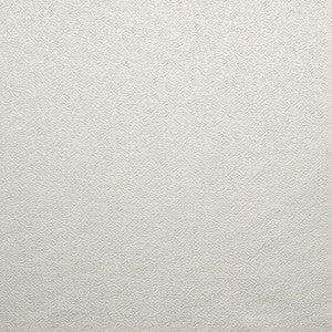 Gravel Path Pearl Grey by Carole Designer Fabric