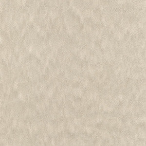 Ahead Of The Game Cement by Carole Designer Fabric