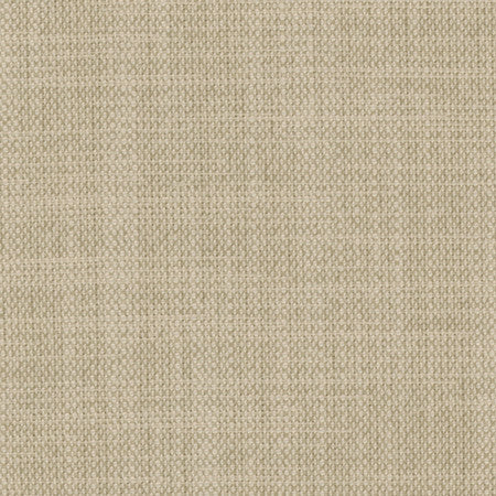 Brookings Sweatshirt by Carole Designer Fabric Enterprise 100% Polyester India 15,000 Wyzenbeek Double Rubs None 55" - Swanky Fabrics -