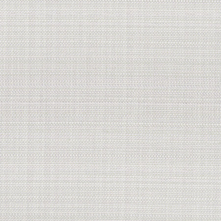 Glimmer Blackout Gray by Carole Designer Fabric For The Window 80% Polyester, 20% Cotton-3 Pass Fr Acrylic Backing Blackout India N/A Horizontal: None and Vertical: None 54" - Swanky Fabrics -