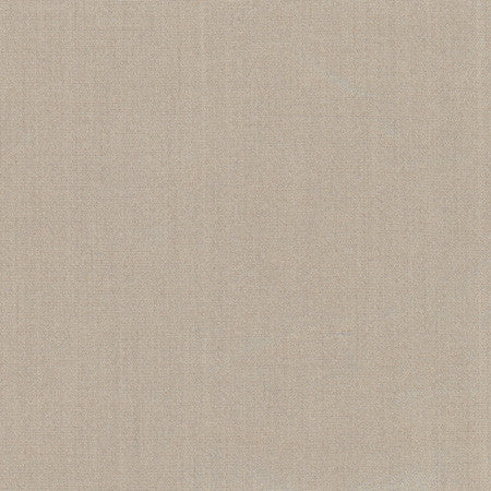 Tempt Silt by Carole Designer Fabric Royale 100% IFR Polyester India Passes 45,000 Double Rubs Wyzenbeek None 54" - Swanky Fabrics -