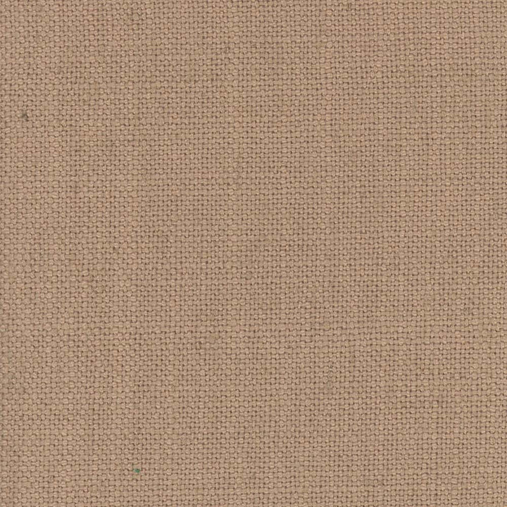 Monitor Camel by Carole Designer Fabric Sandblasted 95% Polyester, 5% Linen China Passes 15,000 Double Rubs Wyzenbeek Horizontal: 0 and Vertical: 0 55 - Swanky Fabrics -