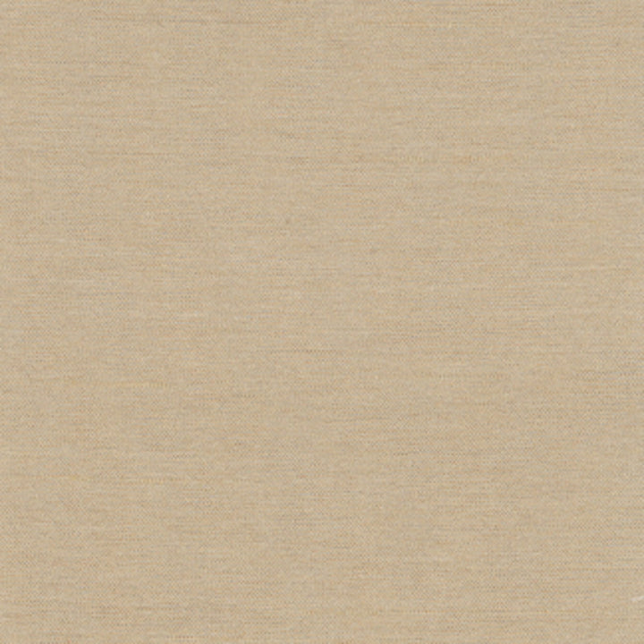 Northwind Tussah by Carole Designer Fabric New Northwind Iv 100% Polyester India Passes 9,000 Double Rubs Wyzenbeek Horizontal: 0 and Vertical: 0 54 - Swanky Fabrics -