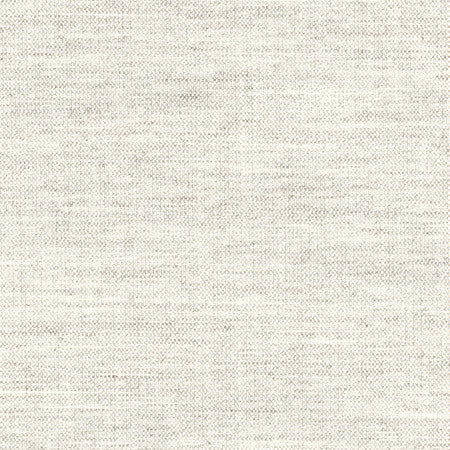 <p>Aerial Pearl Grey by Carole Designer Fabric</p><p><strong>Required Minimum Quantity Purchase: 2 yards</strong></p><p>Book: Dove Wing,Desert Sands</p><p>Content: 100% Polyester</p><p>Origin: </p><p>Performance: 50,000 Wyzenbeek Double Rubs</p><p>Repeat: None</p><p>Width: 54"</p>