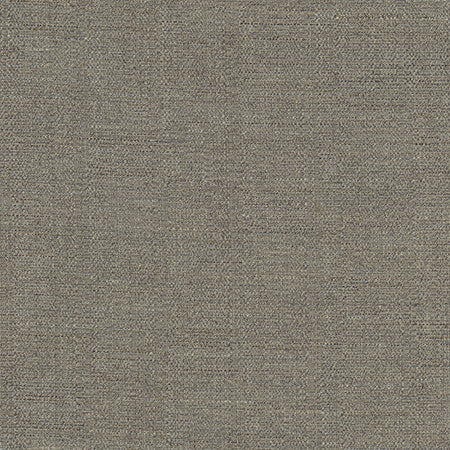 Cortland Granite by Carole Designer Fabric Gala 100% Polyester India None 54.75" - Swanky Fabrics -