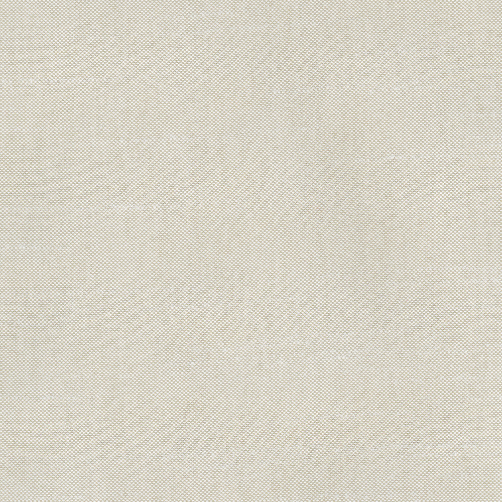 Fleeting Dove by Carole Designer Fabric Royale 100% Polyester India Passes 50,000 Double Rubs Wyzenbeek Horizontal: 0 and Vertical: 0 54 - Swanky Fabrics -